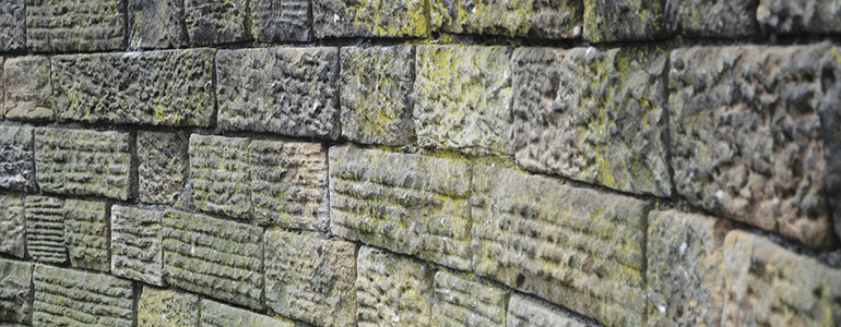 content personalization and data security